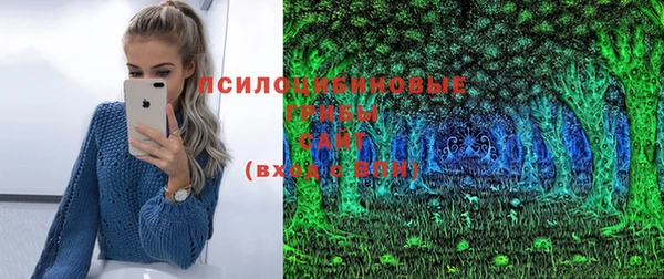 гидра Зеленокумск