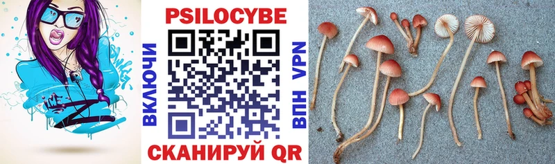 Купить  Новосиль  Галлюциногенные грибы Magic Shrooms 