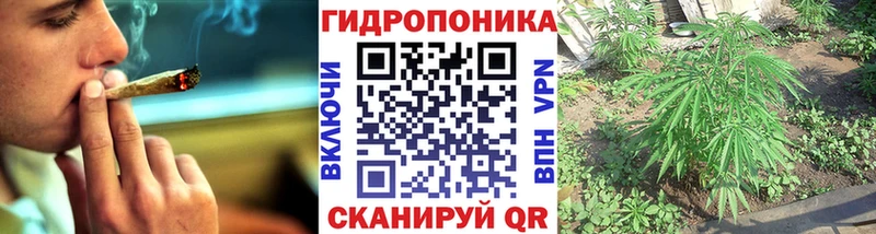 Купить закладки  Новосиль  Бошки марихуана VHQ 